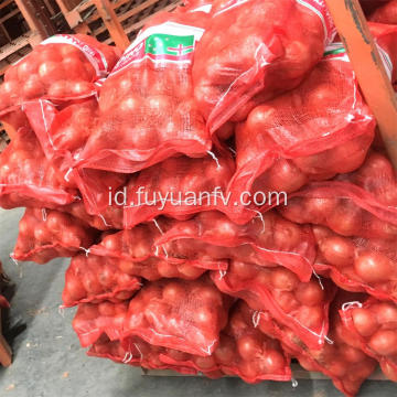 Bawang kuning segar 6-8cm